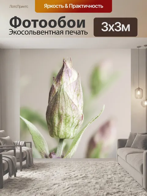 Фотообои Мудрец