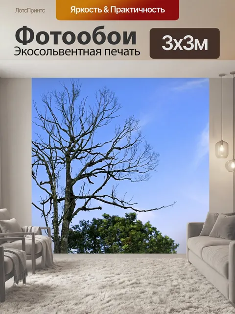 Фотообои Природа горы Фу Руа