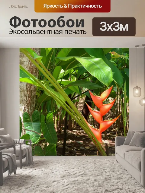 Фотообои Джунгли