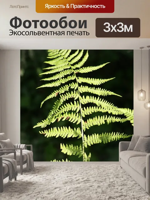 Фотообои Лес