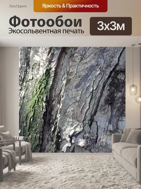 Фотообои тропические текстуры коры дерева