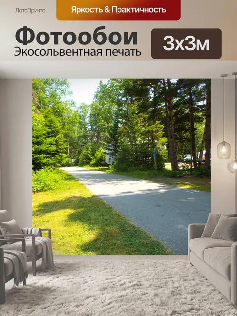 Фотообои Лагерь