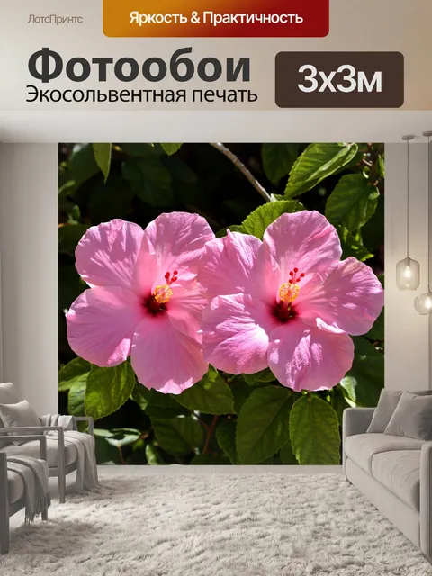 Фотообои Розовый цветок гибискуса