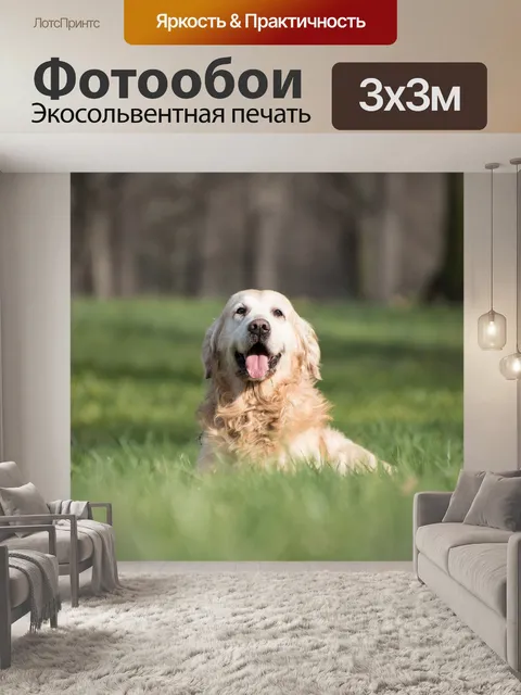 Фотообои Собака