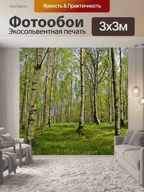 Фотообои Березы