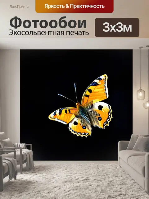 Фотообои темный фон, бабочка с яркими крыльями, порхающая в ночи
