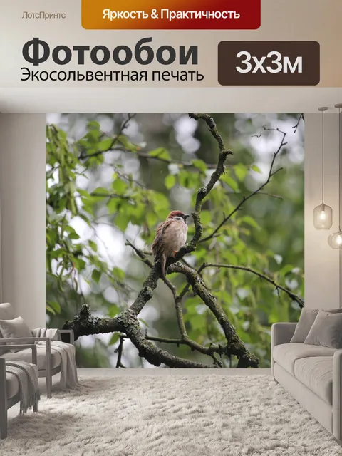 Фотообои Дерево воробей
