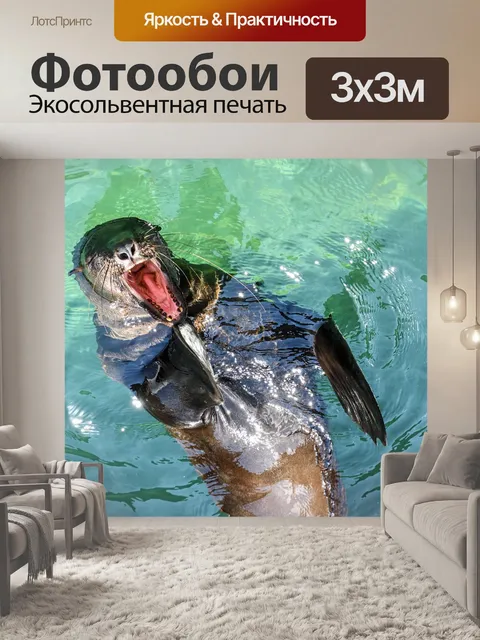 Фотообои Морской лев