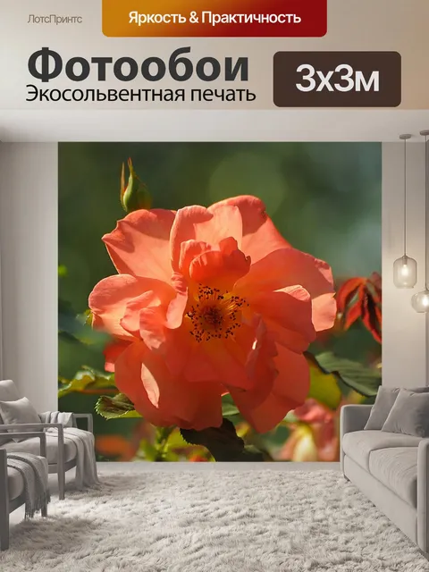 Фотообои Солнечный