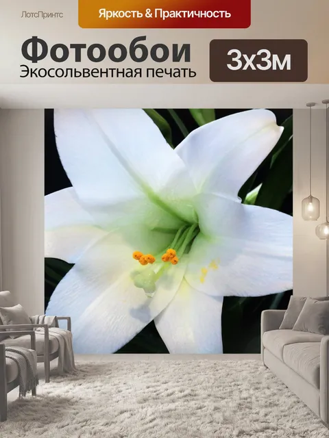 Фотообои Белая пасхальная лилия Макро