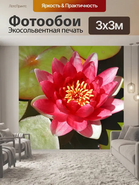 Фотообои Пруд