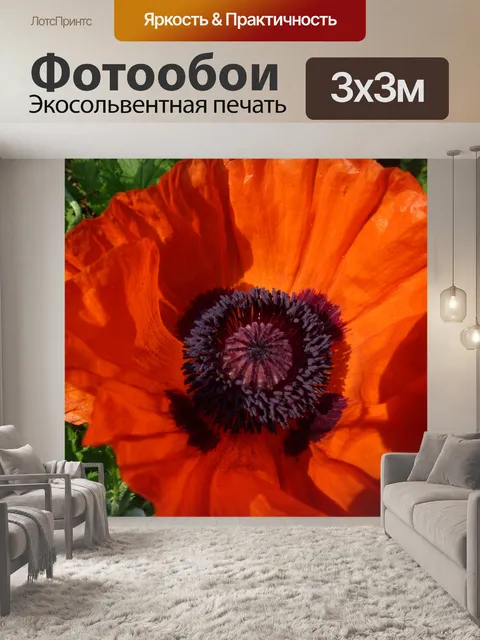 Фотообои Мак