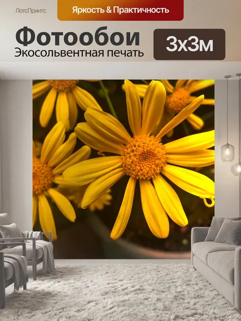 Фотообои Желтые весенние ромашки
