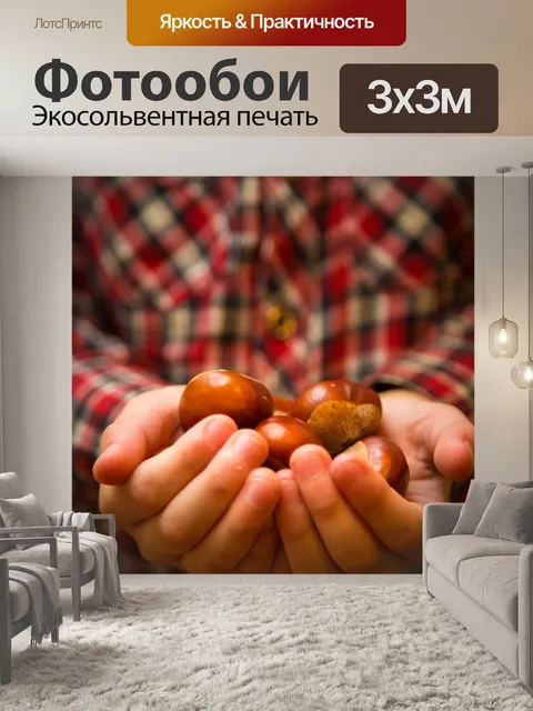 Фотообои Руки полны Каштаны