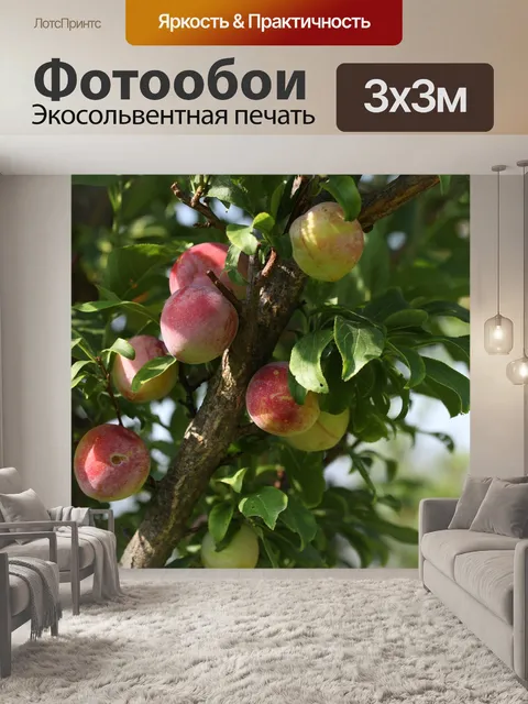 Фотообои Фрукты