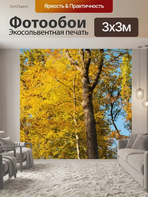 Фотообои Лес