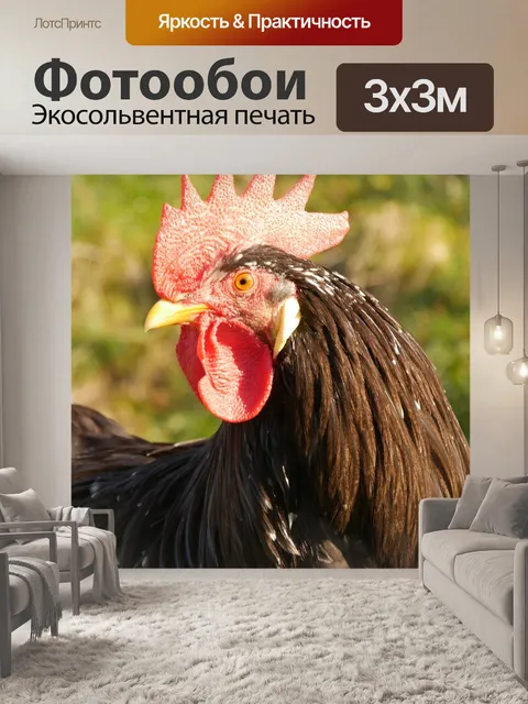 Фотообои Фермерский двор