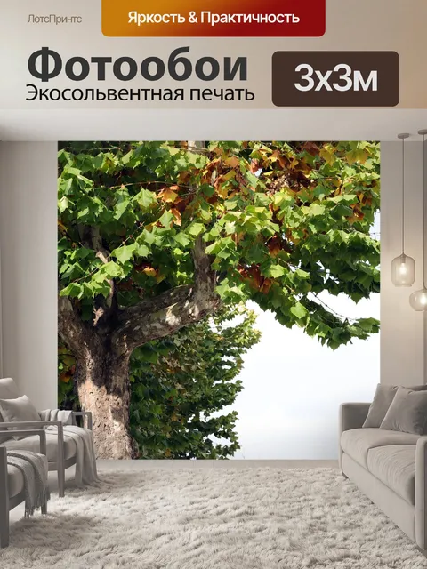 Фотообои Листья