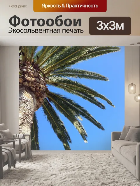 Фотообои Пальма