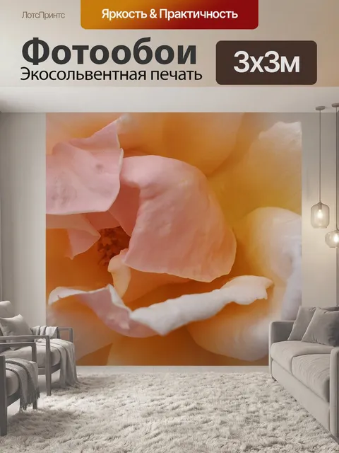 Фотообои Розовая роза