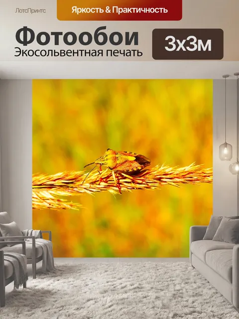 Фотообои Borczyniec фруктовый