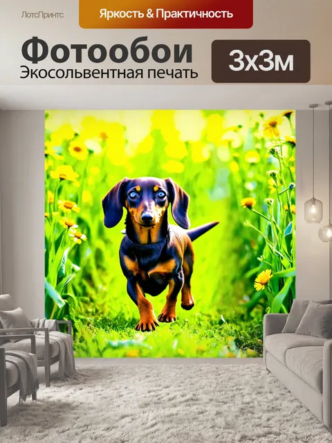 Фотообои такса, уверенно шагающая по зеленым полям с цветами