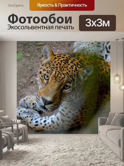 Фотообои Природа