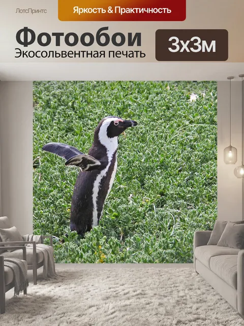 Фотообои Пингвин