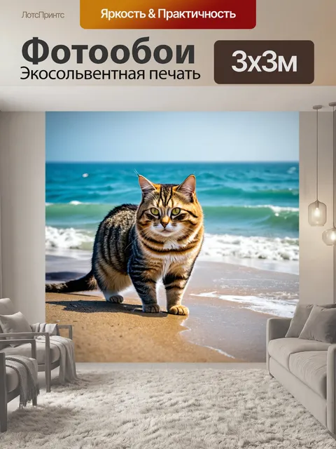 Фотообои кот, исследующий мир на краю океанского побережья