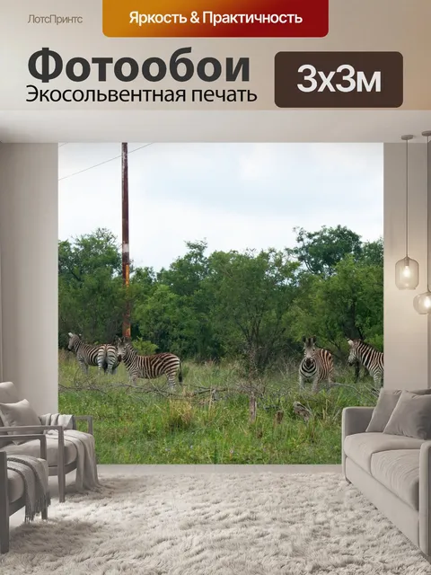 Фотообои группа зебры стоит в траве