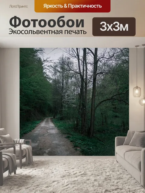 Фотообои Лес