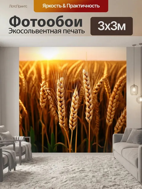 Фотообои рассвет над полем пшеницы, где колоски окутаны ароматом