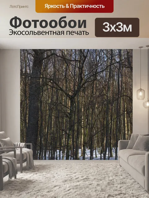 Фотообои Лес