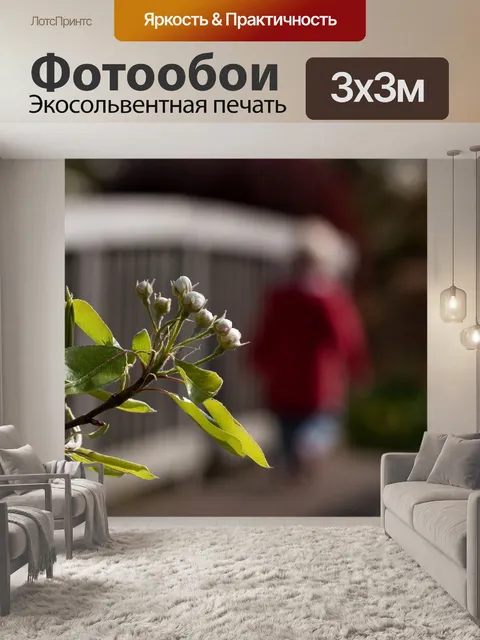 Фотообои Мечтать