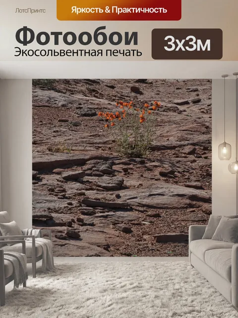Фотообои Оранжевые полевые цветы