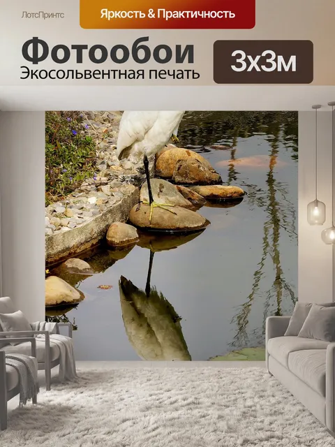 Фотообои Птица
