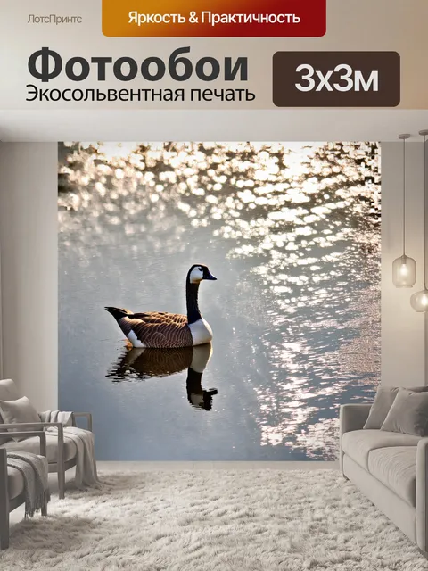 Фотообои гусь, наблюдающий за отражением в сверкающем озере, создает настроение умиротворения
