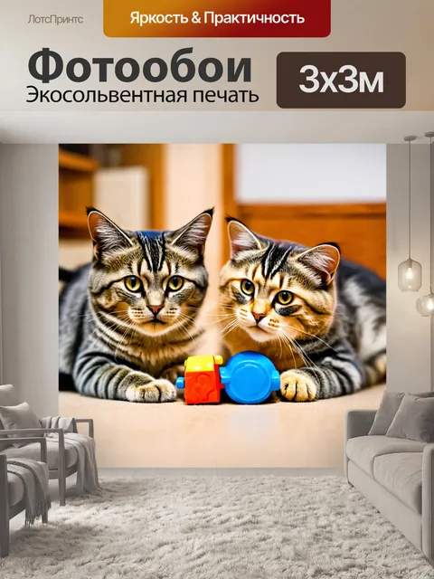 Фотообои коты, которые обнаруживают свои игрушки после долгого времени