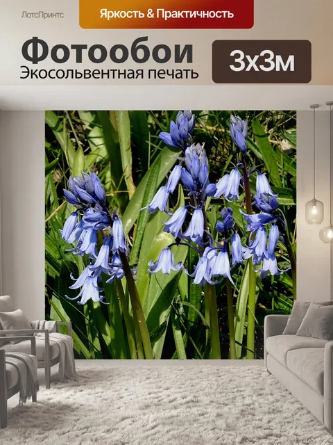 Фотообои Цветы колокольчика