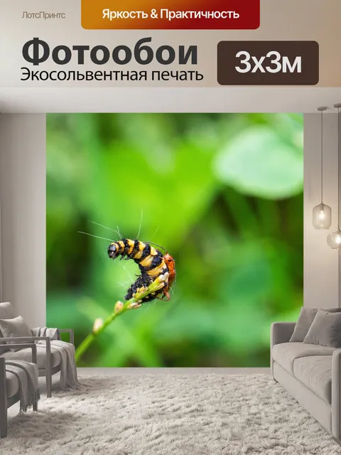 Фотообои Ошибки