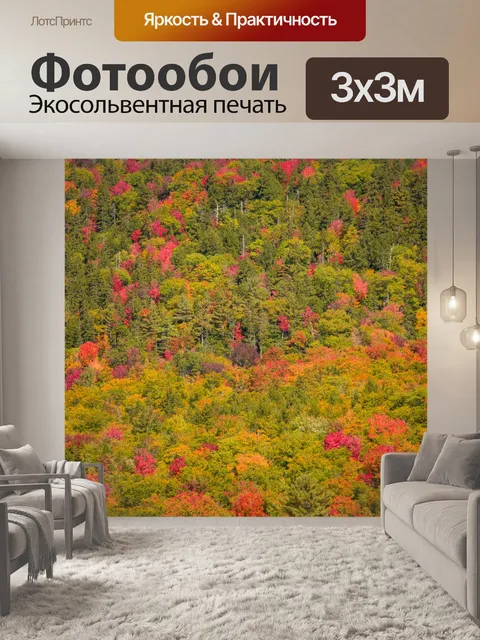 Фотообои Осенние деревья фон