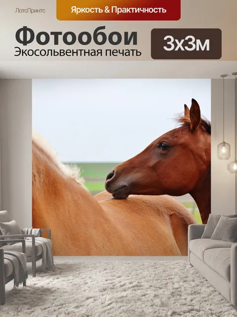 Фотообои Лошадь