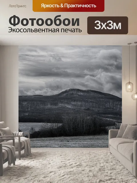 Фотообои Черное и белое