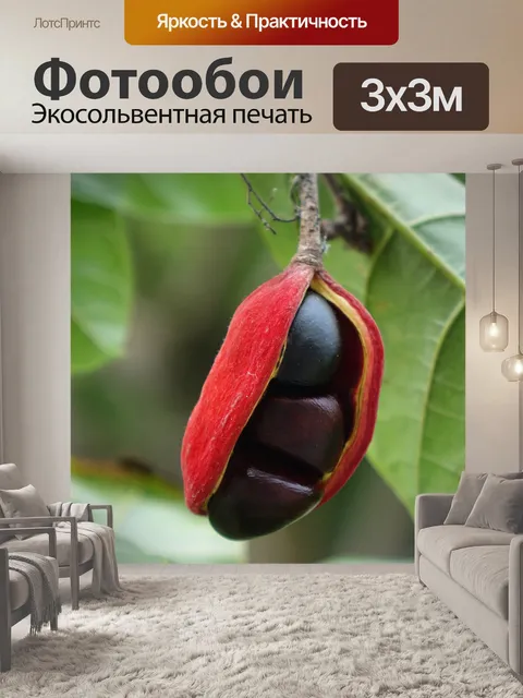 Фотообои Частота ро