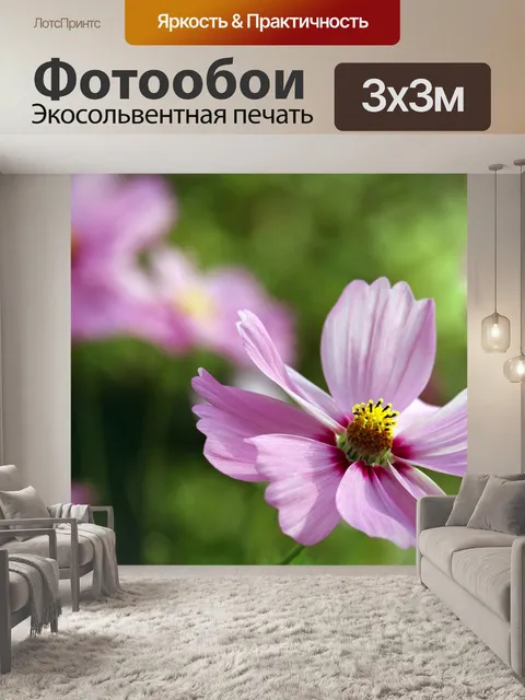 Фотообои Цветы
