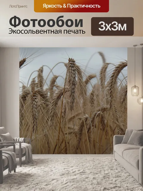 Фотообои Спелая пшеница