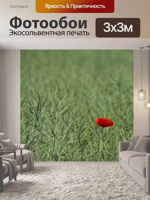 Фотообои Один красный мак