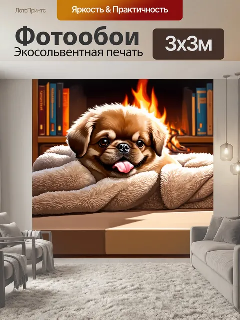 Фотообои плотный и пушистый щенок пекинеса, уютно устроившийся в мягком пледе, с высунутым язычком