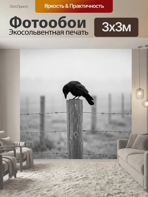 Фотообои Черный ворон на заборе