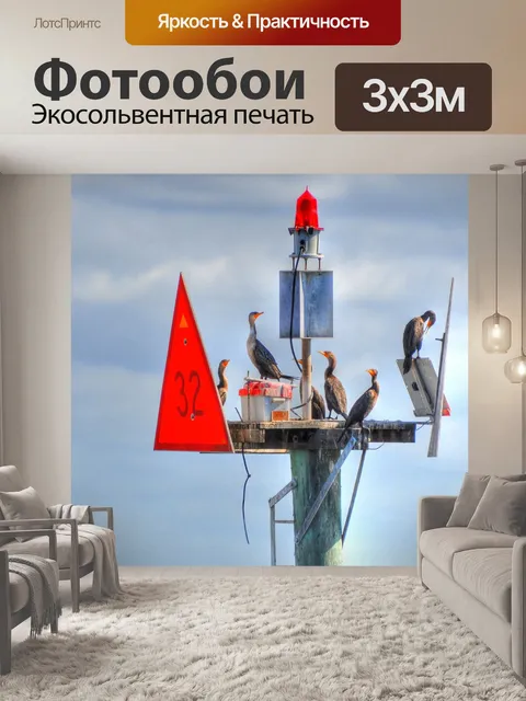 Фотообои Птицы